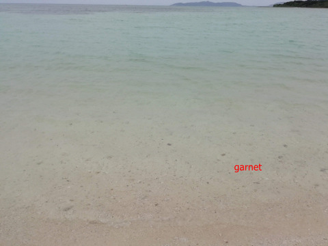 Photo Editor_IMG_20181215_113619