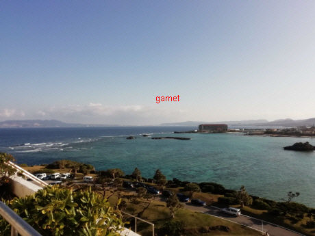 Photo Editor_IMG_20190114_093517