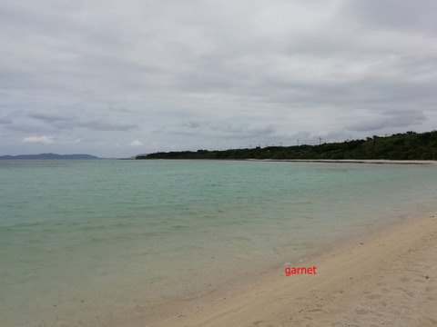 Photo Editor_IMG_20181215_113500