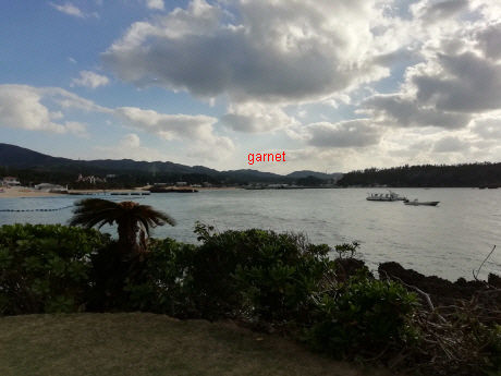Photo Editor_Photo Editor_IMG_20190113_160532