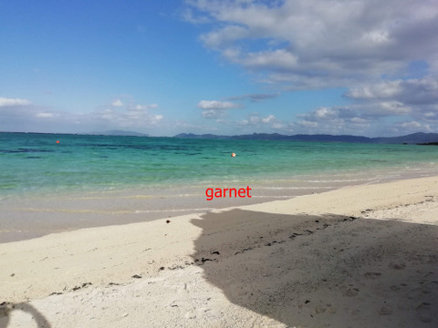 Photo Editor_IMG_20181215_154335