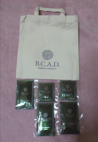 編集_BCAD