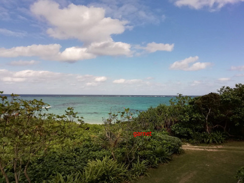 Photo Editor_IMG_20181215_135918
