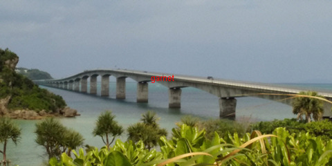 Photo Editor_DSC_0553