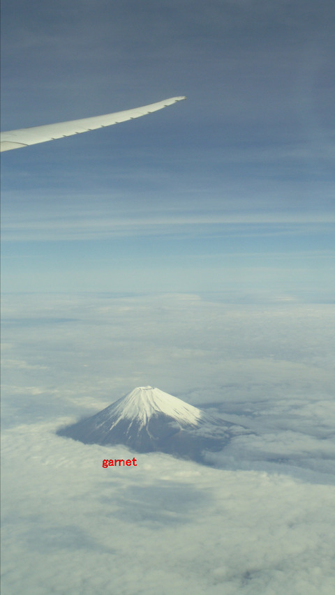 編集_IMGP2228