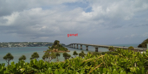 Photo Editor_DSC_0554