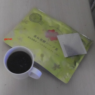 編集_編集_IMGP1902