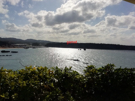 Photo Editor_Photo Editor_Photo Editor_IMG_20190113_144603