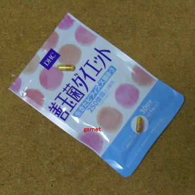 編集_編集_IMGP2738