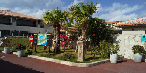 Photo Editor_DSC_0283