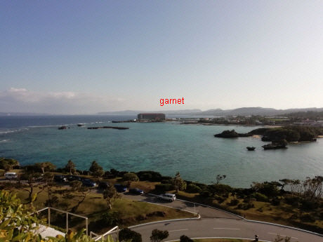 Photo Editor_Photo Editor_IMG_20190114_093515