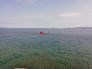 Photo Editor_Photo Editor_IMG_20190407_093558