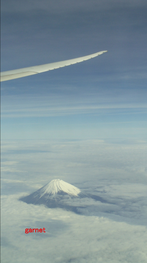 編集_IMGP2226