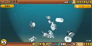 にゃんこ　マタタビ