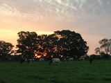 IMG_3797