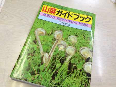写真 2013-04-24 12 32 46