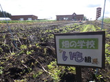 RIMG0412