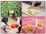 てん菜
