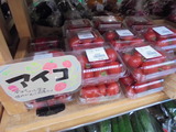 アイコ