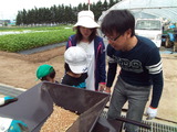 DSCF6630