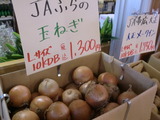 JAふらの 玉ねぎ