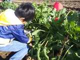 RIMG6370