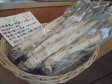 北海うど