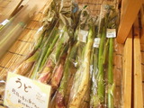 うど