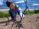 CIMG8354