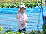 P1180554