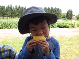 RIMG2264
