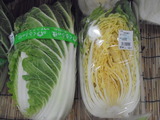 白菜