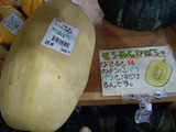 そうめんかぼちゃ