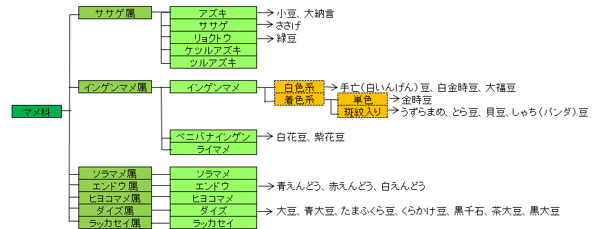 豆の種類