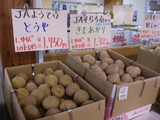 とうや きたあかり