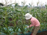 RIMG0097