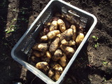 DSCF6992