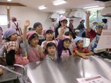 1008人参12