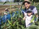RIMG0738