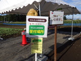 RIMG2568
