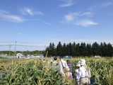 RIMG2213