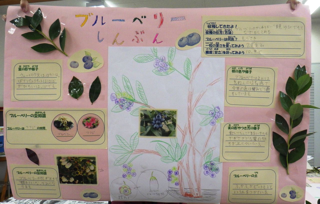 くるる日記 農作業 調理加工体験news くるる日記 農作業 調理加工体験news