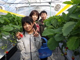 RIMG7107