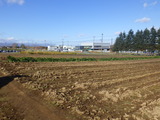 RIMG6363