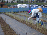 RIMG6539