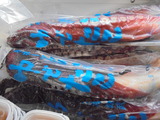 タコ足800g