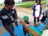 DSCF6621