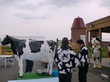 1006牛
