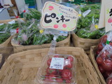 ピンキー