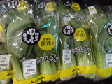 JA伊達市・チンゲン菜